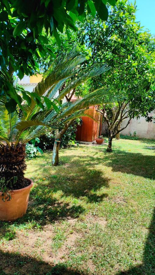 Greenhouse_Anzio Exterior photo